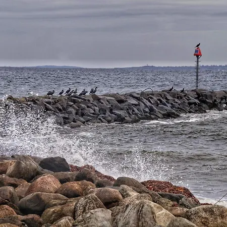 10 Person In Sydals 別荘 *